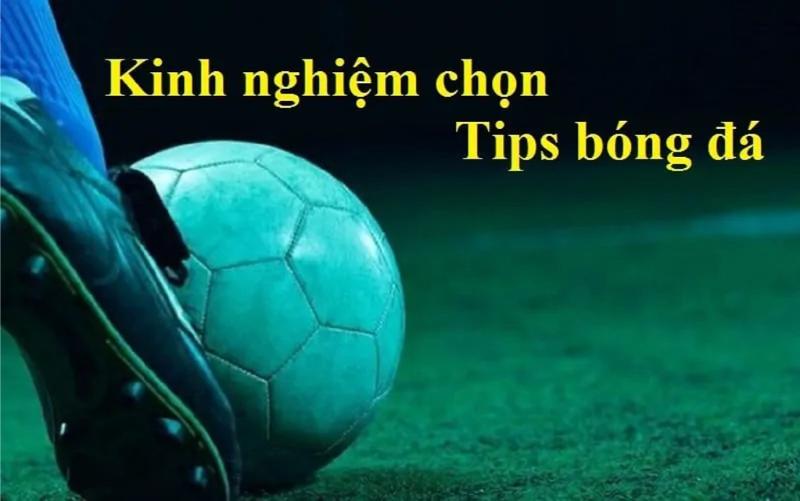 Cách đánh giá trang cung cấp tips cá cược bóng đá