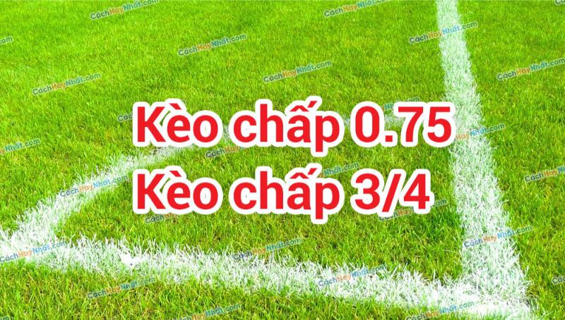 Cách đọc kèo 0.75 sao cho chuẩn nhất?